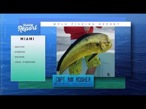 April 17: Local 10 Fishing Report