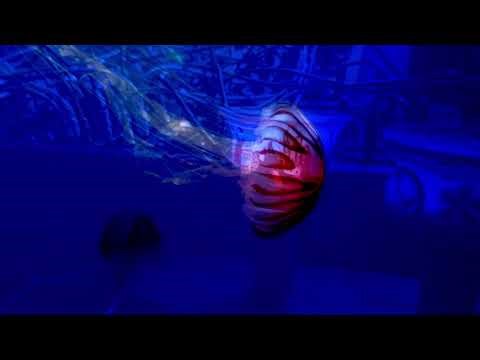 Jamuary2026 Day 3 Diving into a Modular Synth Jam | Improvised Electronic Textures