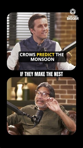 Did You Know Crows Can Predict The Monsoon?