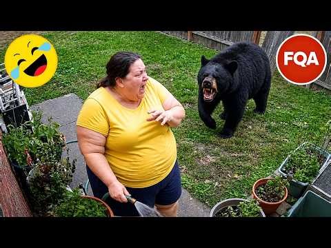Try Not To Laugh 🤣 Top 100 Funniest Videos Ever 😂 | Funny Videos Compilation 2026 #114