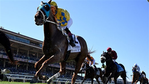 Kornacki breaks down Breeders’ Cup field