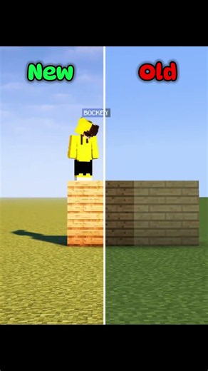 Minecraft New VS Old Blocks....🤔 (Misery)