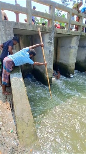 Amazing Fishing Technic by Bamboo Net Trap in Sluice Gate #fishing #fishvideo #bigfish