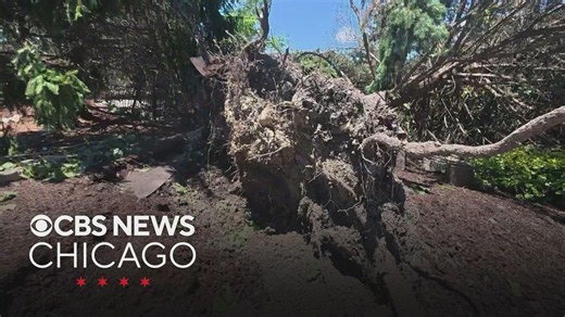Bartlett homeowners begin cleanup after tornado causes major damage