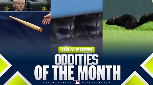 MLB's BEST bloopers of July 2026! 🤣 (Black squirrels, raccoons & more ballpark oddities)