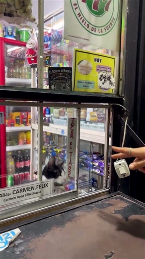 Cat Swats At Woman Through Store Window