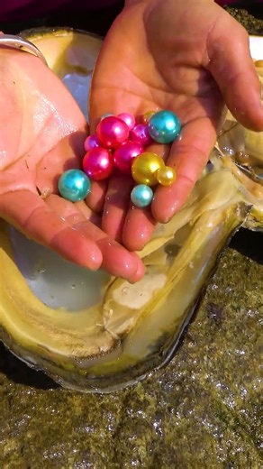 Let you see pure natural pearls