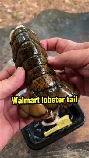 Cooking Lobster and Fish with Dan-O's Seasoning