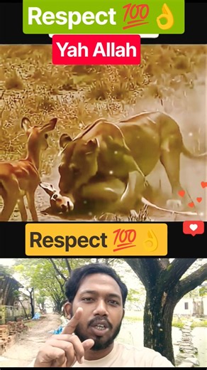Respect 💯👌💚Grate Save💚💯👌 #MashallahRespect #PowerOfAllah #Allah #IslamicReminder #AllahIsGreat #Amen