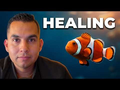 Finding Nemo Episode 2: 6 Principles for Healing from Trauma