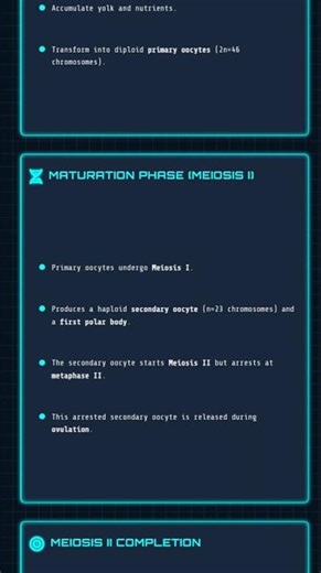 Human Female Reproductive System, Oogenesis, and Menstrual Cycle