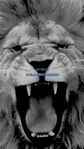 Best Partners: Israel and the U.S. Armed Forces