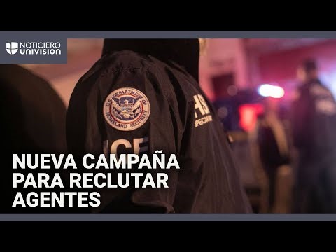 Gobierno Trump prepara campaña multimillonaria para reclutar a miles de agentes migratorios: reporte