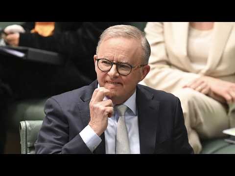 ‘Saying the quiet bit out loud’: Labor admits Australia’s economy will struggle without migration