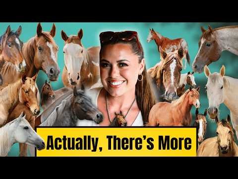 Here's Every Horse I Own - And Their Real Names