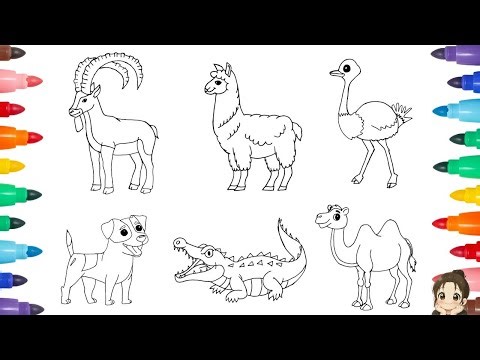 Animal Drawing for Kids | Simple Step by Step Coloring | Ibex 🐐 Llama 🦙 Dog 🐶 Camel 🐫 Crocodile 🐊