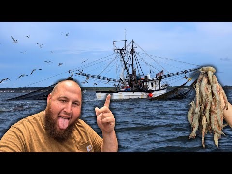 The Freshest Shrimp You'll Ever Eat! | Commercial Shrimping (Catch & Cook-Shrimp n' Grits)