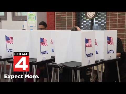 Federal election monitors in Michigan, here's what they'll do
