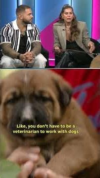 Brady Oliveira and Alex Blumberg chat new CBC series 'Must Love Dogs' 🐶🐶 | #CBCSports