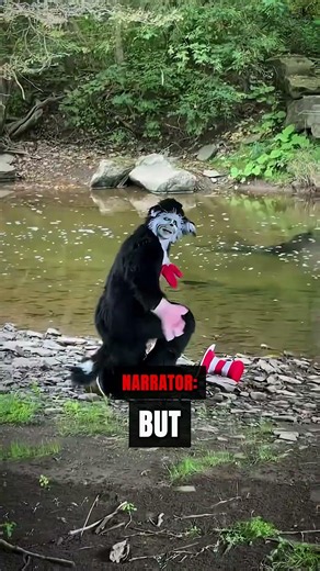 He Found the Cat in the Hat…