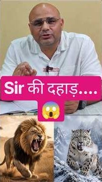Leopard v/s tiger #dharmendrasir #gyrussulcus #leopard #snowleopard