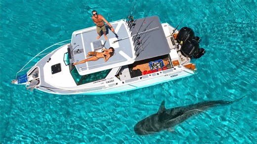 A shark looked huge until they released it… then an absolute giant appeared - "There's always a bigger shark"