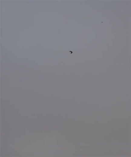 Epic Duck Hunting in a Blizzard! ❄️🦆 | Andrew Flair