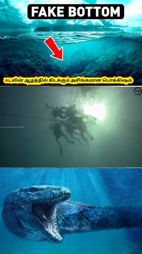 Kutty_Facts_Tamil_2.0 on Instagram: "😱 ஆழ்கடல் பொக்கிஷம் பகுதி -1"