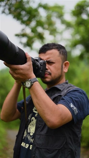 Chasing Stories In The Wild | Shot on Nikon Z8