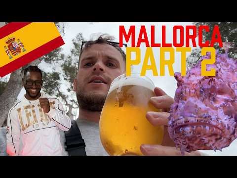 Mallorca Palma Aquarium & Meeting WILLIAM SCULL! Travel VLOG PART 2 #vlog #mallorca #williamscull