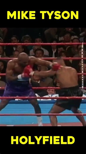 MIke Tyson VS Evander HolyField Boxing Fight (2)