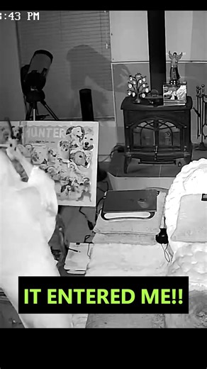 IT ENTERED ME!! 😱 #orbs #paranormal #ghost