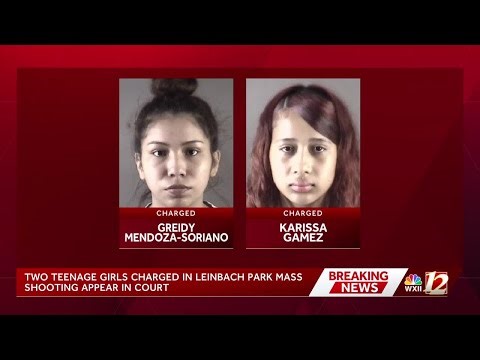 Two teenaged girls charged in Leinbach Park deadly park shooting appear in court