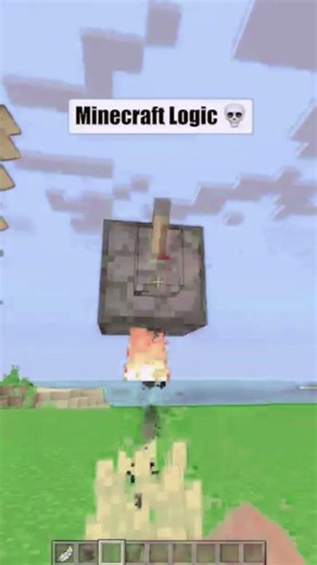 Minecraft logic...🫪🤐