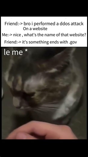 We are cooked 🫡DDoS Attack Explained Check Description #ddos#shorts