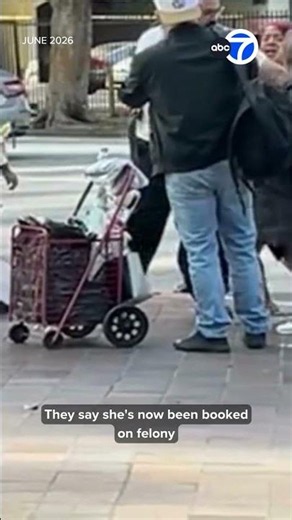 Woman arrested in attack on street vendor in downtown L.A.