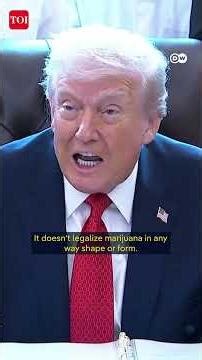 U.S. Cannabis Industry Sees Boost As Trump Orders Marijuana Reclassification