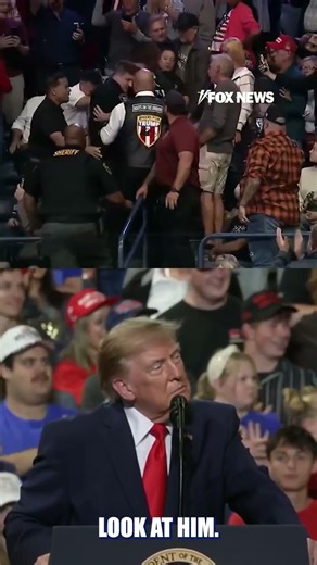 'GO ON A DIET': Trump takes aim at protestor #trump #shorts #usa
