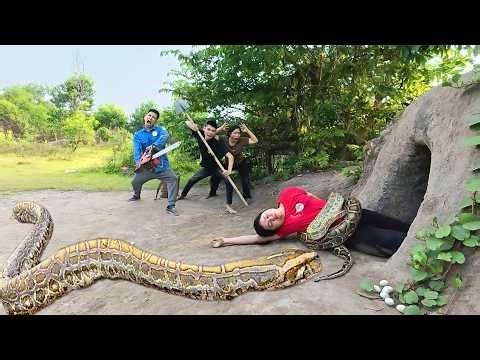 3 Brave Hunters Risk Their Lives to Save Girl from 2 Giant Golden Pythons