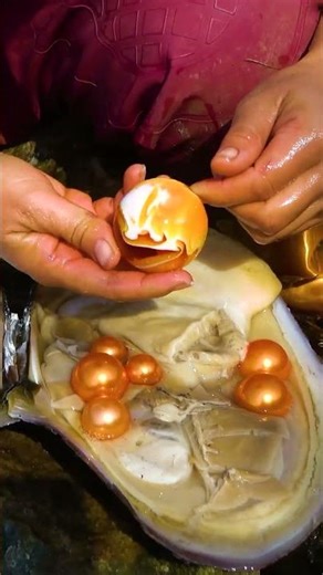 Today I found shiny pearls again