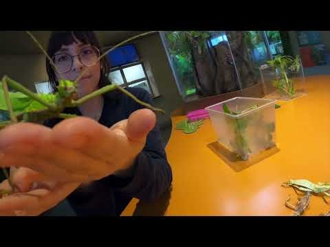 Happy National Zoo Keeper Week!