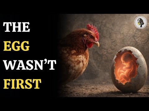 Chicken Or Egg Mystery Solved? Scientists Reveal A Surprising Answer | WION Podcast