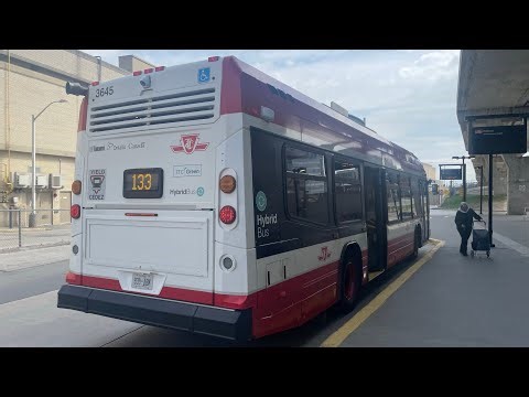 (Ride) TTC 2019 Novabus LFS Hybrid 3645 | 133 Neilson