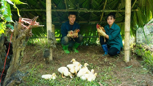 Kolam lama jadi kebun sayur produktif 🌿