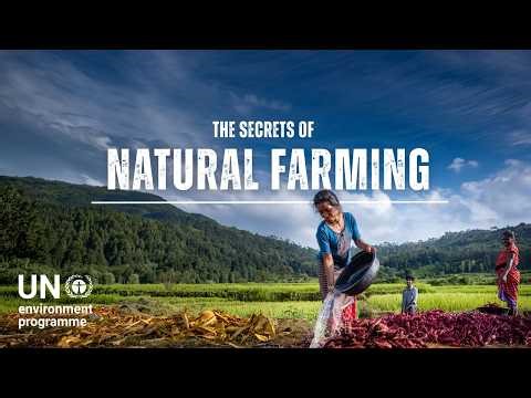 Restoring soil, restoring lives: India’s Natural Farming breakthrough
