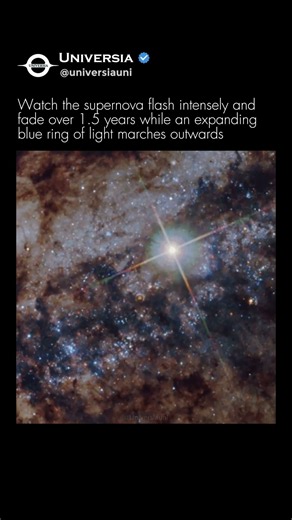 Watching A Supernova Light Echo In Real Time! (Centaurus A)