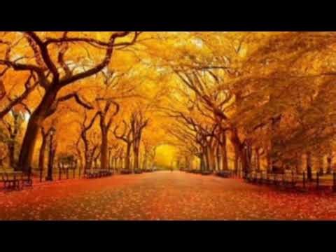 Alan Walker - Golden Alley (Audio)