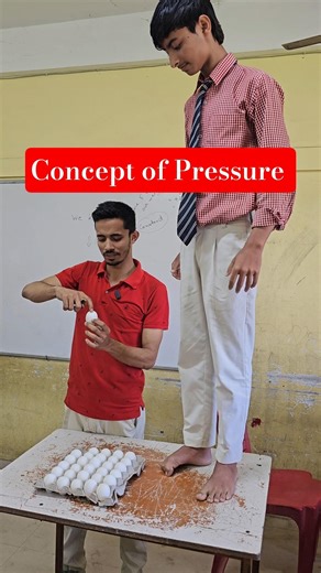 Can a person stand on raw eggs without breaking them? 🤯