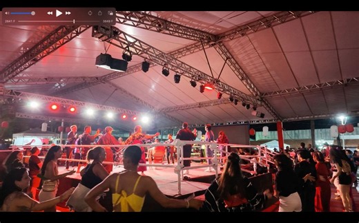 【動画】愛知発「ダンシング・ヒーロー盆踊り」地球の反対側でも大人気　記者が訪れた異国の「日本祭り」：中日新聞Web