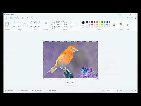 How to Invert Colors of an Image in PowerPoint (Easy!)